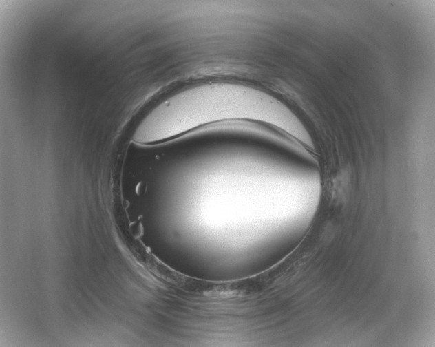 X0000066930448200603271115