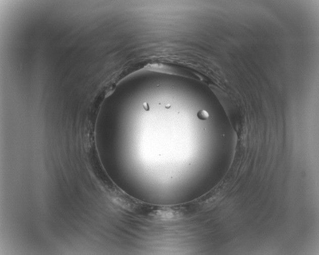 X0000066930464200603271115