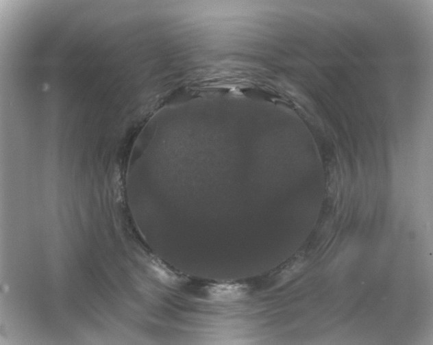 X0000066930465200603271115