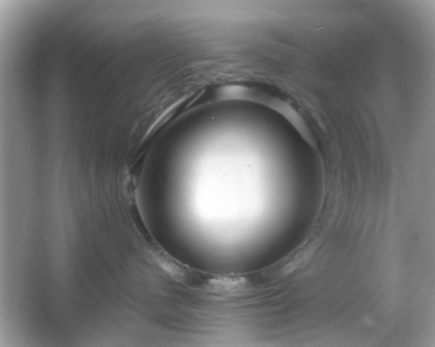 X0000066930480200603271116
