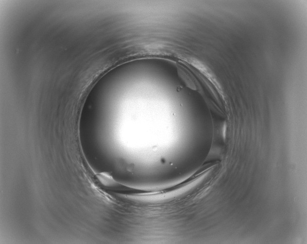 X0000066930481200603271115