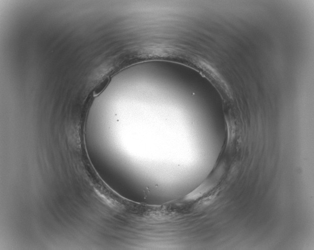 X0000066930489200603271115
