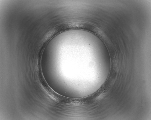 X0000066930490200603271115