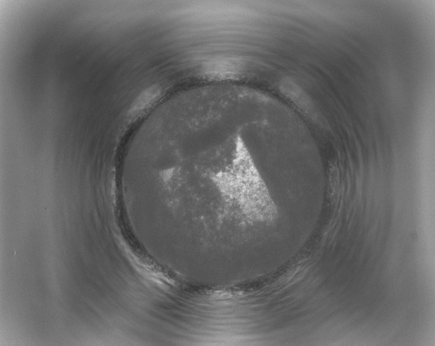 X0000066930494200603271115