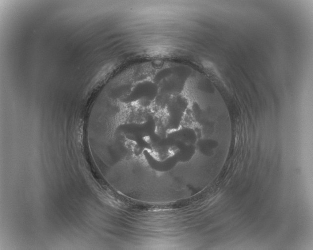 X0000066930495200603271115