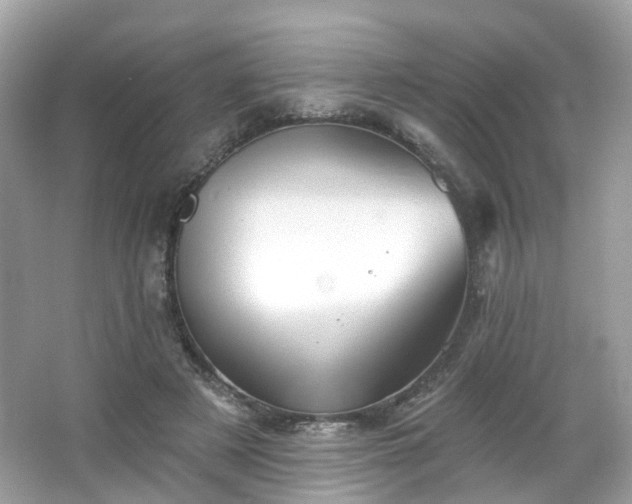 X0000066930497200603271115