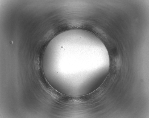 X0000066930498200603271115