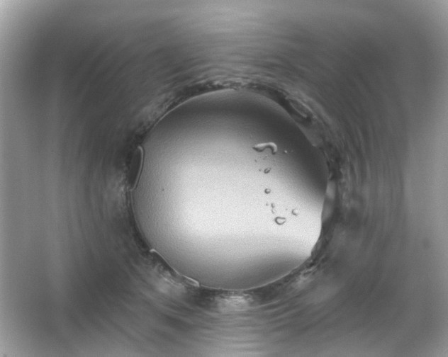 X0000066930513200603271114