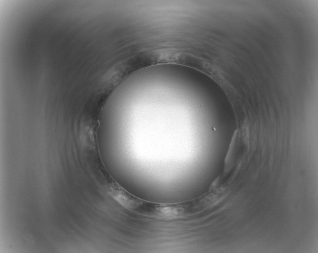 X0000066930522200603271114