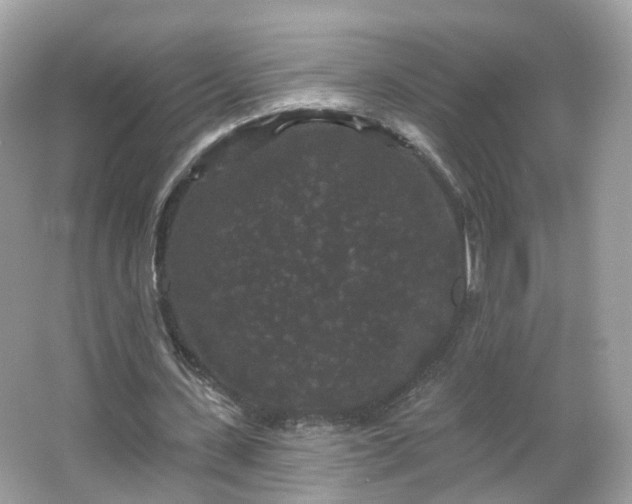 X0000066930531200603271113