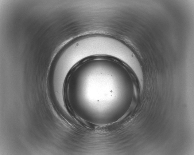 X0000066930536200603271113