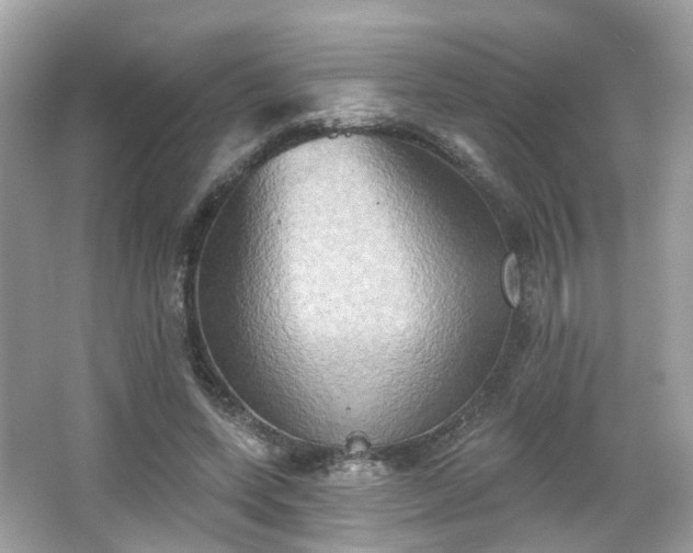 X0000066930543200603271114