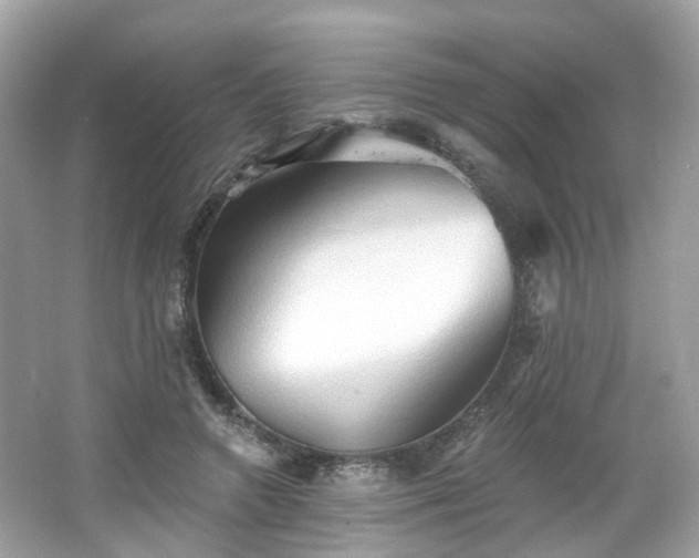 X0000066930546200603271114