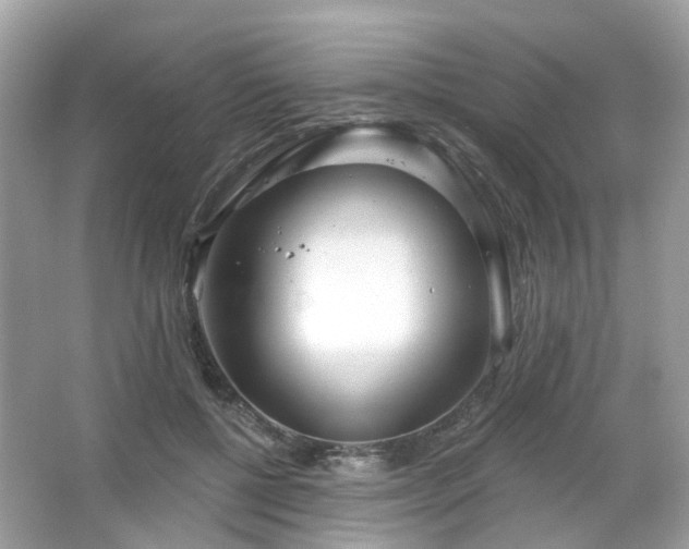 X0000066930552200603271114