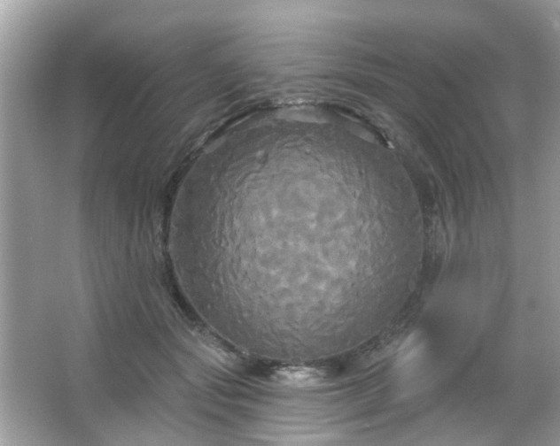 X0000066930557200603271114