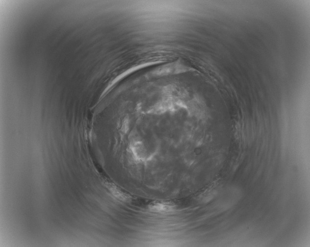 X0000066930561200603271114