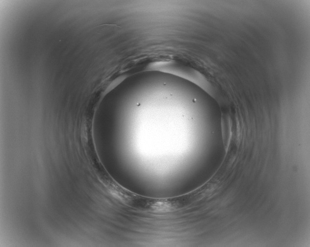 X0000066930562200603271114
