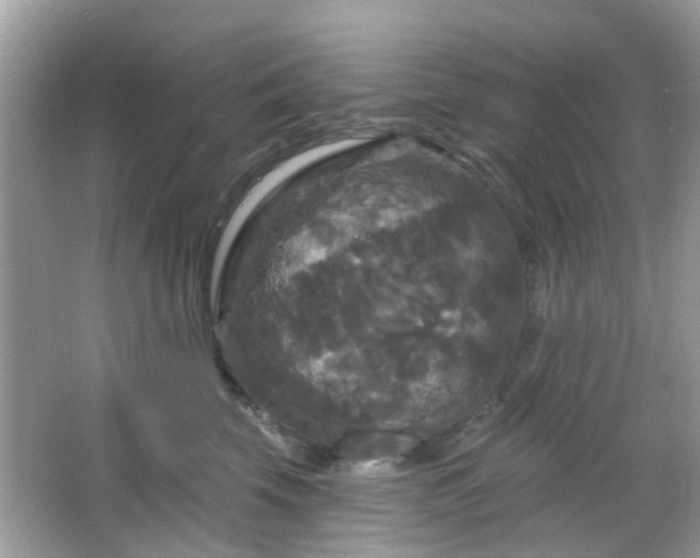 X0000066930569200603271114