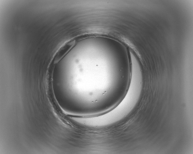 X0000066930580200603271113
