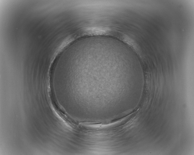 X0000066930582200603271113