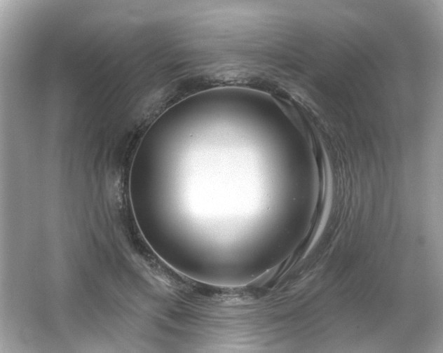 X0000066930597200603271113