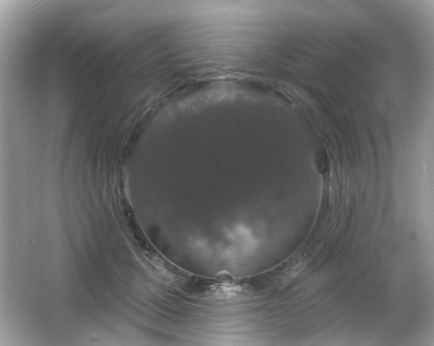 X0000066930607200603271113