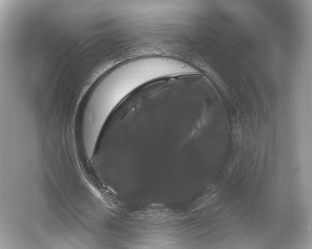 X0000066930626200603271112