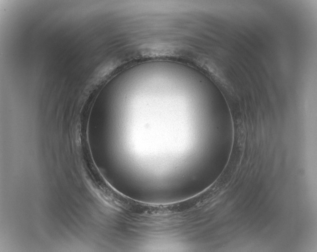 X0000066930631200603271112