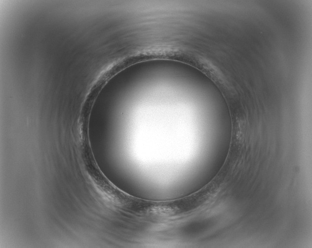X0000066930636200603271112