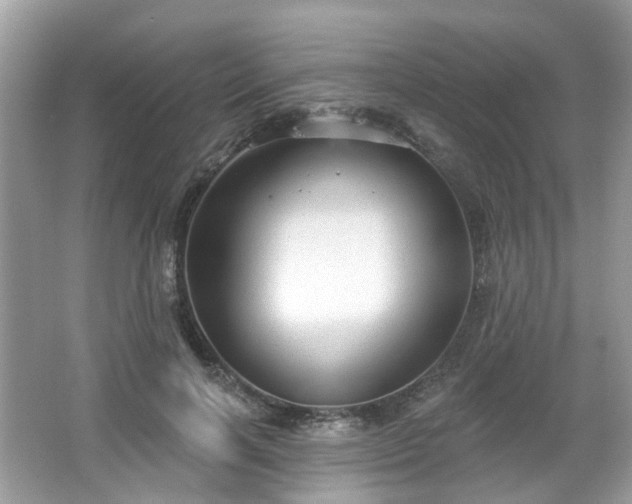 X0000066930646200603271112