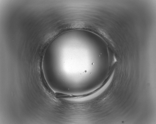 X0000066930681200603271112