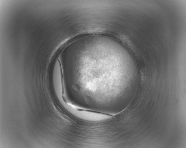 X0000066930684200603271112