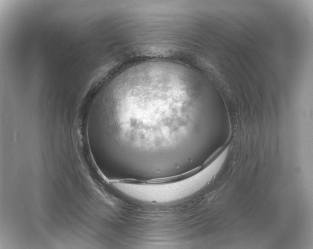 X0000066930688200603271111