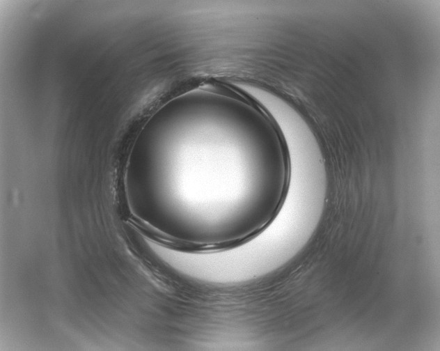 X0000066930735200603271110