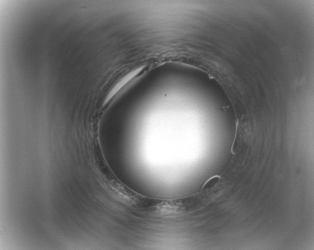 X0000066930756200603271111