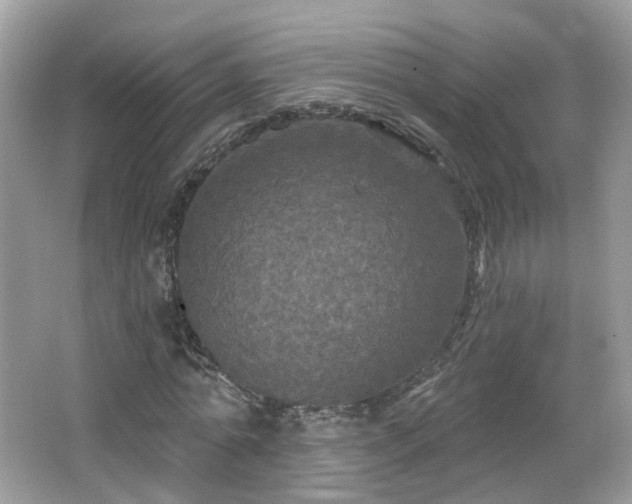 X0000066930774200603271110