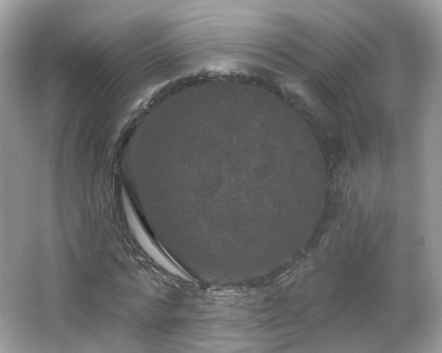 X0000066930776200603271110