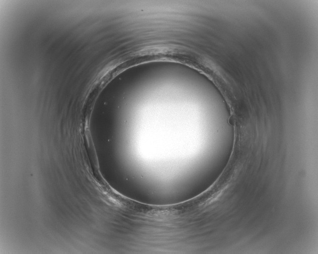 X0000066930778200603271110