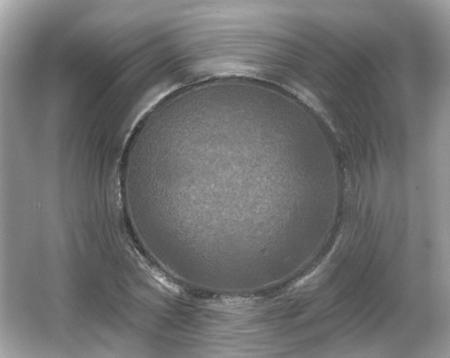 X0000066930782200603271110