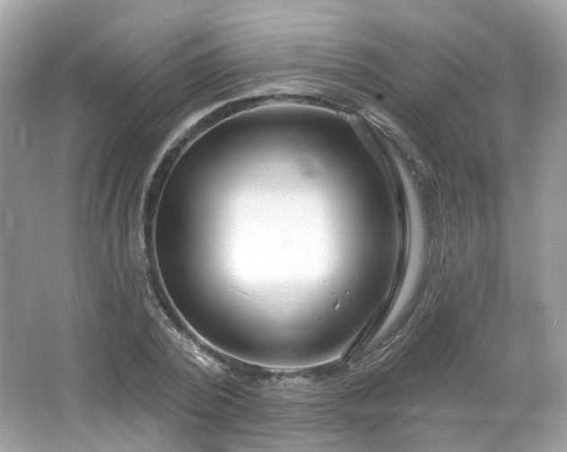 X0000066930784200603271110