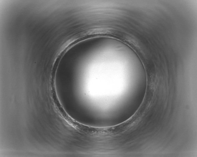 X0000066930786200603271110