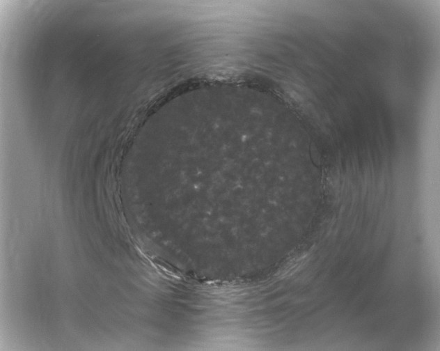 X0000066930817200603271109