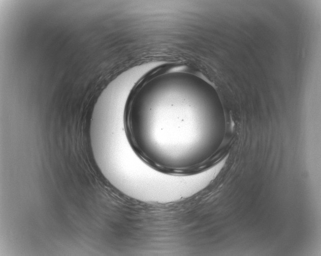 X0000066930818200603271109