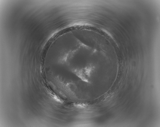 X0000066930823200603271109