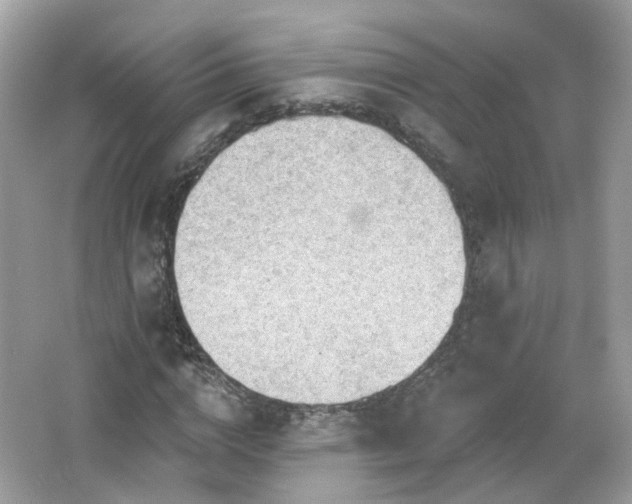 X0000066930824200603271109