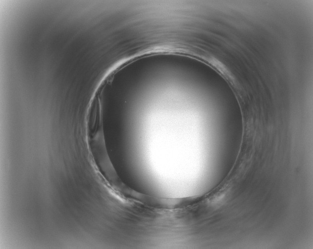 X0000066930854200603271109