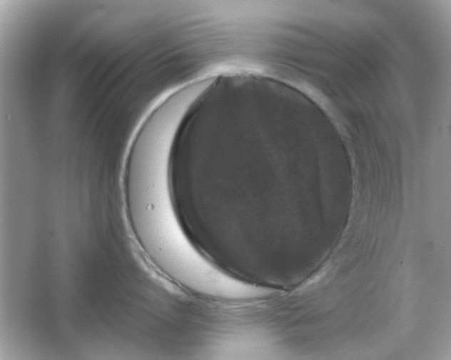 X0000066930864200603271109