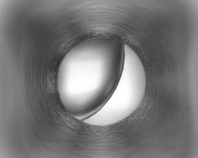 X0000066930868200603271108