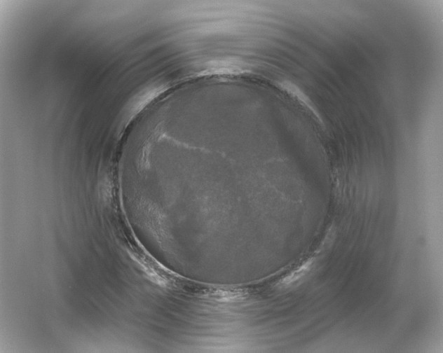 X0000066930874200603271108