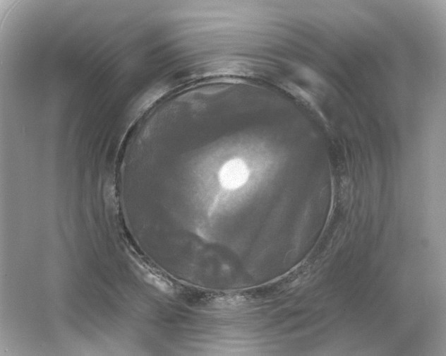 X0000066930882200603271108